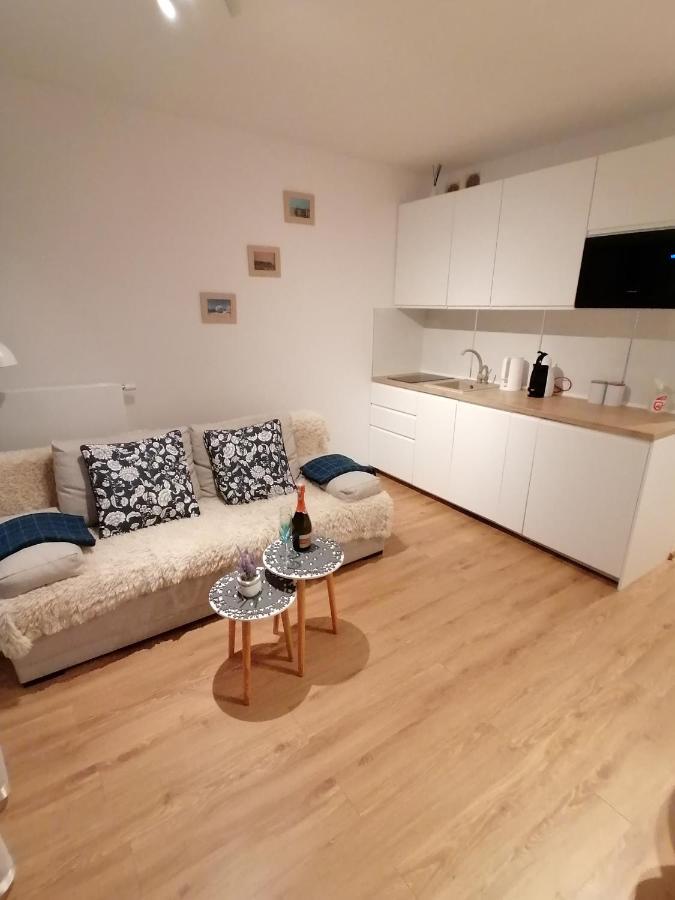 Blue Zet Apartament ساربينوفو المظهر الخارجي الصورة